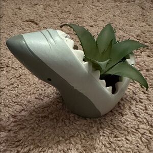 Target Shark Planter with Faux Green Succulent